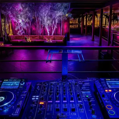 NYC Nightlife, Theaters & Concert Venues